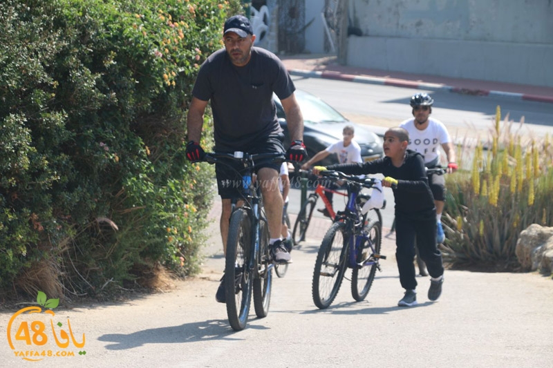 hertslaiaya hai2a (4).jpg